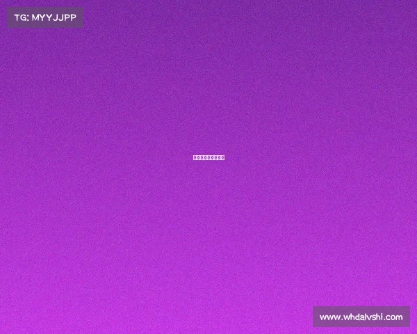 欧洲杯赛事比分解析